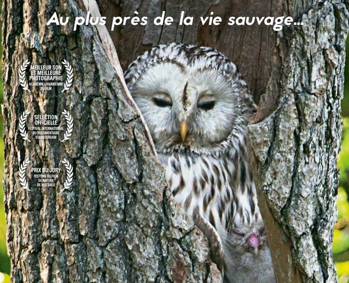 Ciné-débat "Dans les bois"